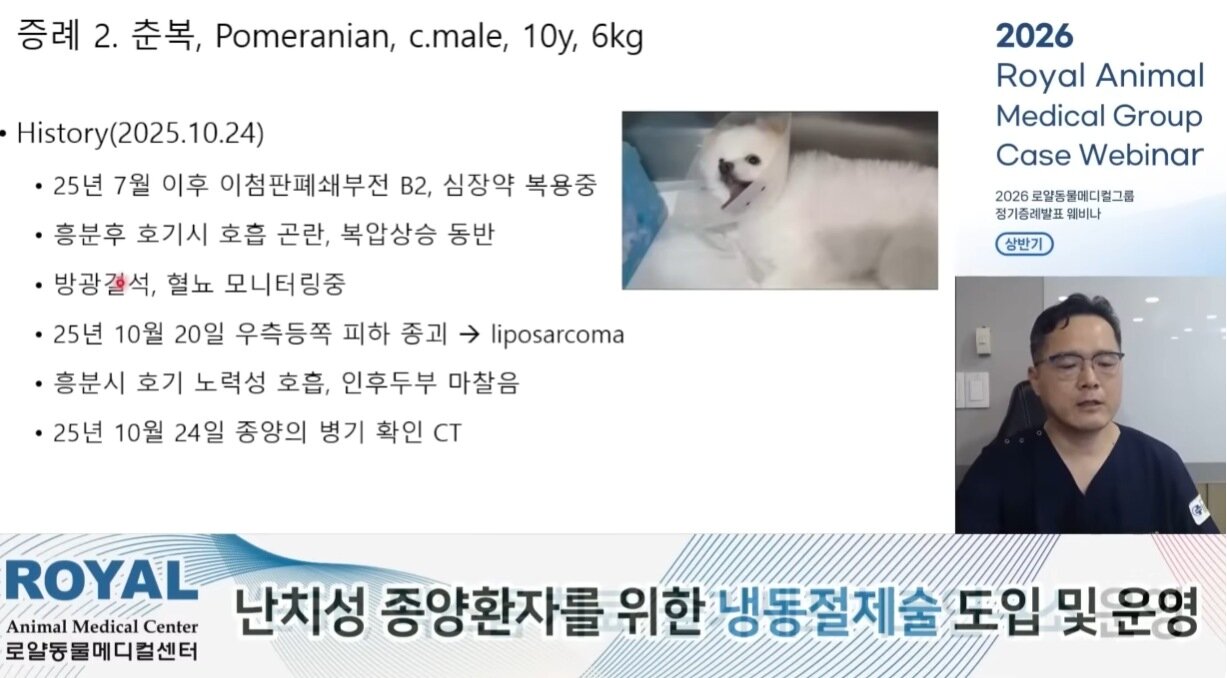 본문 이미지 - 최갑철 로얄동물메디컬센터W 원장이 흉강 종격동 종양 수술 증례를 발표하고 있다(유튜브 갈무리). ⓒ 뉴스1