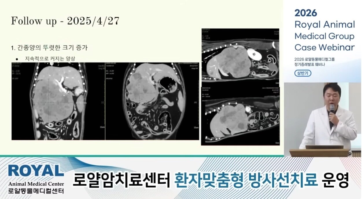 본문 이미지 - 오승현 로얄동물메디컬센터 본원 부원장이 다발성 원발성 악성종양 증례를 소래하고 있다(유튜브 갈무리). ⓒ 뉴스1