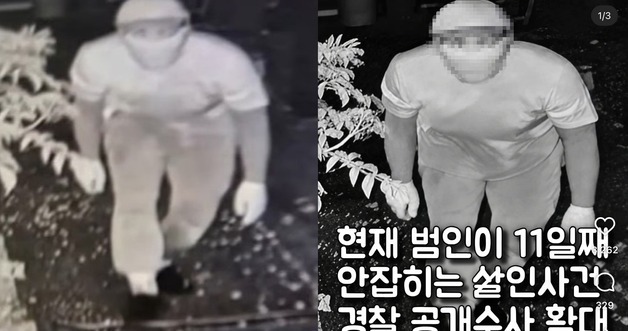 통영 살인사건 20일째 오리무중인데…가짜 용의자 사진 확산