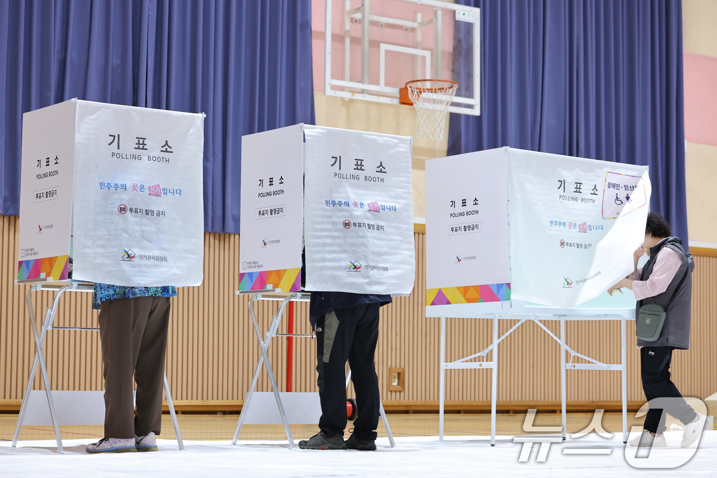 (보령=뉴스1) 신웅수 기자 = 제9회 전국동시지방선거 및 국회의원 재·보궐 선거 시작된 3일 충남 보령시 대천여자고등학교에 마련된 투표소에서 유권자들이 투표하고 있다. 2026. …