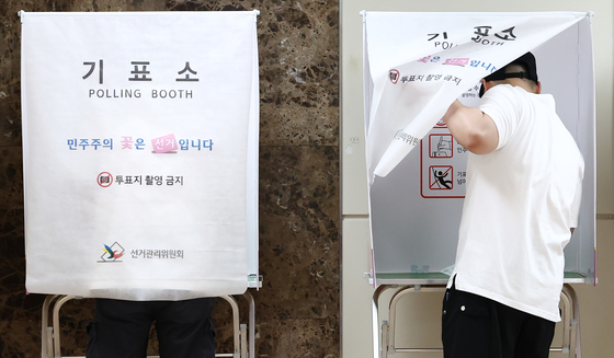 민주주의 꽃은 선거
