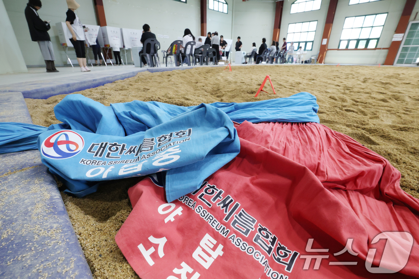 (성남=뉴스1) 김영운 기자 = 제9회 전국동시지방선거 및 국회의원 재·보궐선거 본투표 날인 3일 경기 성남시 중원구 성남종합운동장 실내씨름장에 마련된 성남동제2투표소에서 유권자들 …
