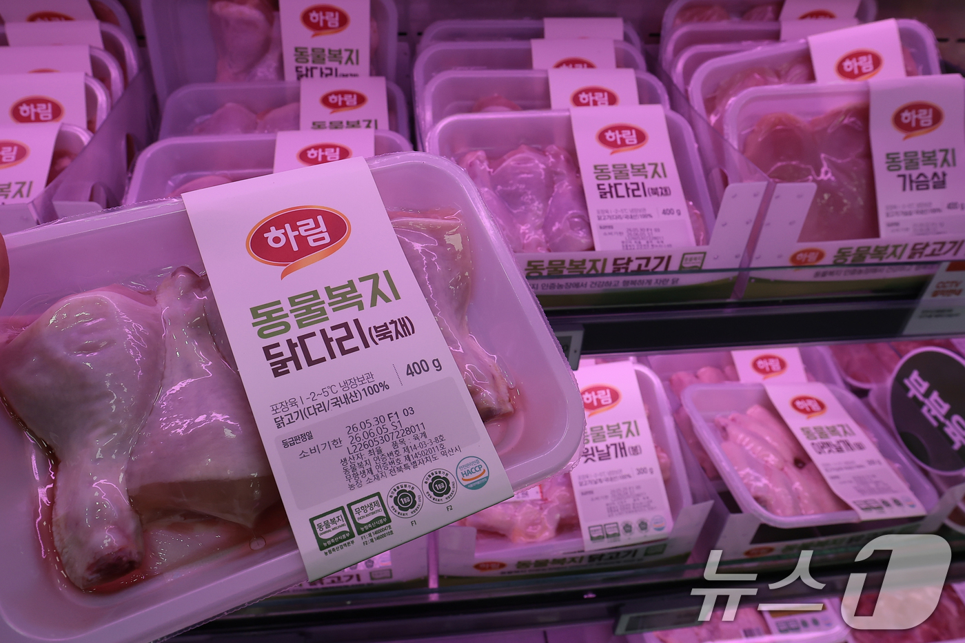 (서울=뉴스1) 권현진 기자 = 중동발 전쟁 여파와 사룟값 상승, 지난겨울 가축전염병 영향으로 축산물 가격이 일제히 오른 3일 서울 시내의 한 대형마트에 닭고기가 진열되어 있다. …