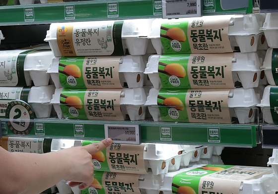 계란 한 판 1만 원 넘어…소비자들 '한숨'