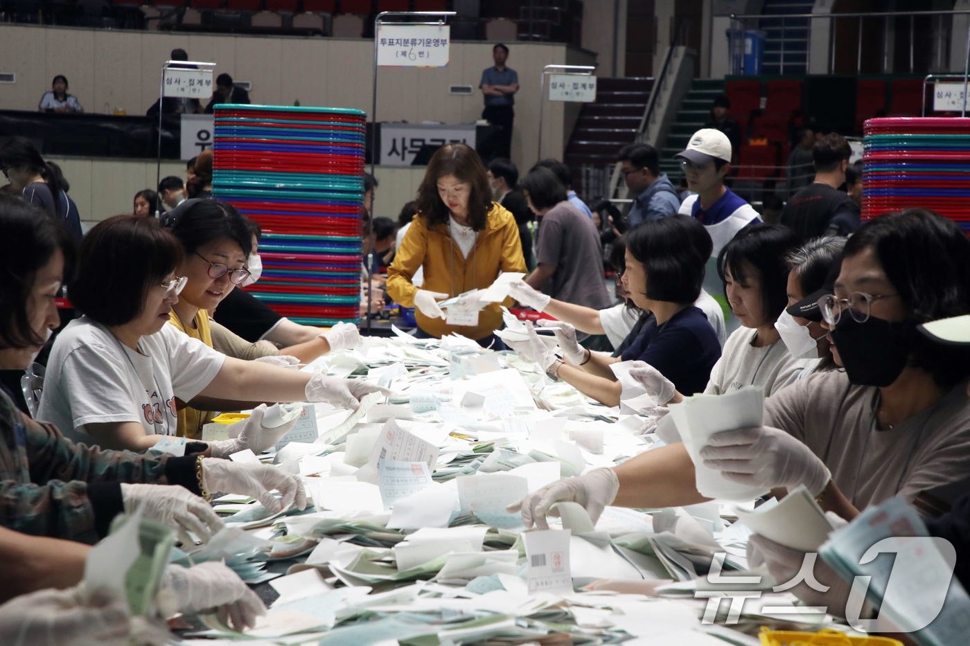 (제주=뉴스1) 고동명 기자 = 제9회 전국동시지방선거일인 3일 오후 제주시 한라체육관에서 개표 작업이 이뤄지고 있다. 2026.6.3/뉴스1
