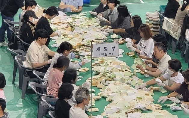 '투표용지 정확히 분류'… 강원 지방선거 개표