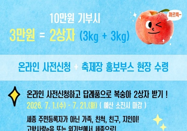 "10만원에 복숭아 2상자 답례"…세종시, 고향사랑기부 '이벤트'