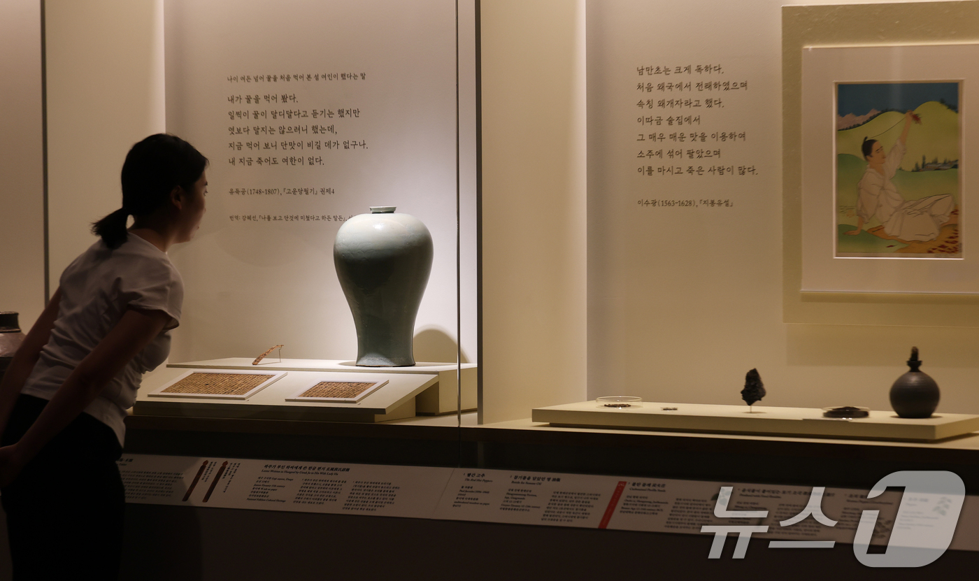 (서울=뉴스1) 오대일 기자 = 30일 서울 용산구 국립중앙박물관에서 열린 ‘우리들의 밥상’ 특별전 언론공개회에서 관계자가 고려시대 꿀이 담긴 청자 매병을 살펴보고 있다.K-푸드의 …