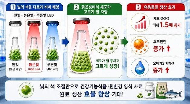 빛의 색이 미세조류 오메가3 지방산·후코잔틴 생산량 좌우