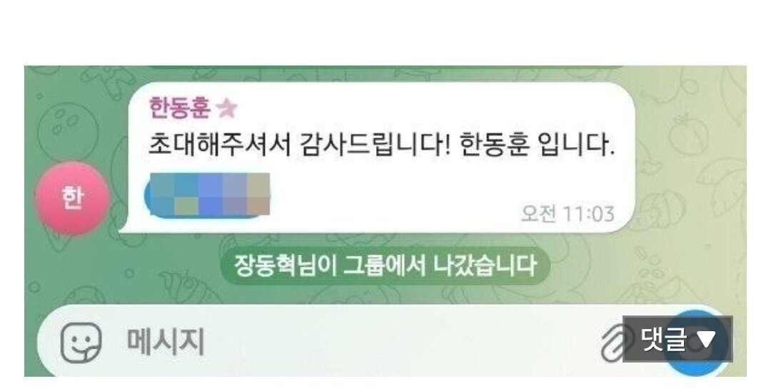 본문 이미지 - (국회 글로벌 외교안보포럼 텔레그램 단체방 갈무리)