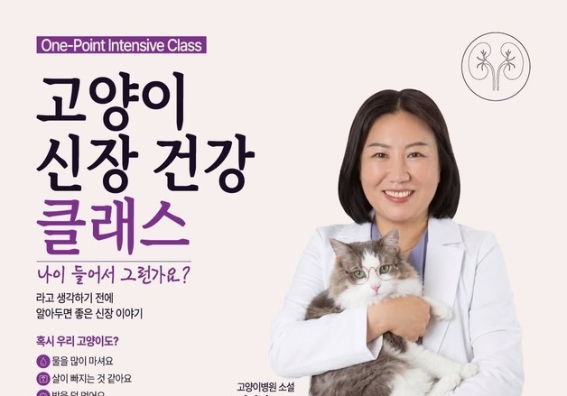 고양이 신장 건강, 무엇을 먹여야 할까…보호자 교육 클래스 열린다