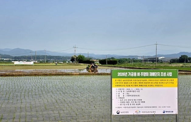 이천시, 가공용 벼 재배 나선다…3㏊에 '주향미' 시범 재배