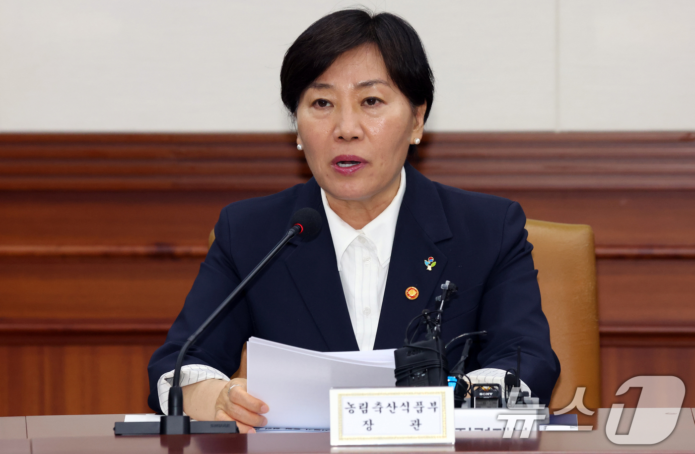 (서울=뉴스1) 김명섭 기자 = 송미령 농림축산식품부 장관이 4일 오후 서울 종로구 세종대로 정부서울청사에서 열린 민생물가 특별관리 관계장관TF 회의에서 모두 발언을 하고 있다. …