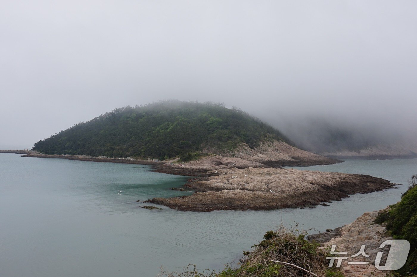 본문 이미지 -  한반도 지형을 닮은 목섬의 갯바위.  2026.6.5. 뉴스1 ⓒ News1 조영석 기자