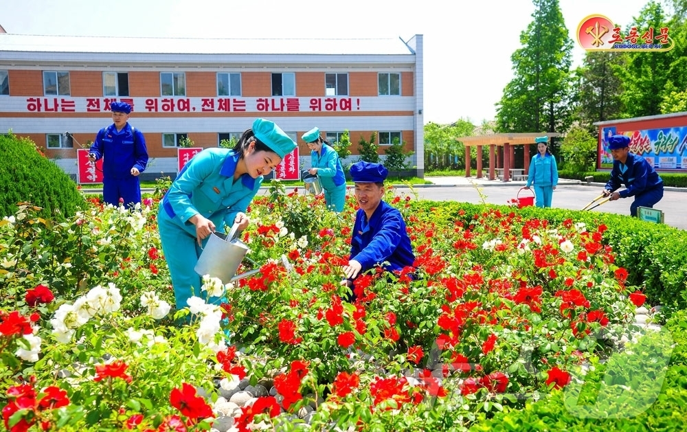 (평양 노동신문=뉴스1) = 북한 노동당 기관지 노동신문은 5일 원산구두공장에서 공장구내를 공원과 같이 꾸려가고 있다고 보도했다.[국내에서만 사용가능. 재배포 금지. DB 금지. …