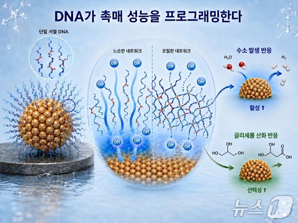 본문 이미지 - 연구이미지(AI 생성이미지). (KAIST 제공. 재판매 및 DB금지) 2026.6.5./뉴스1