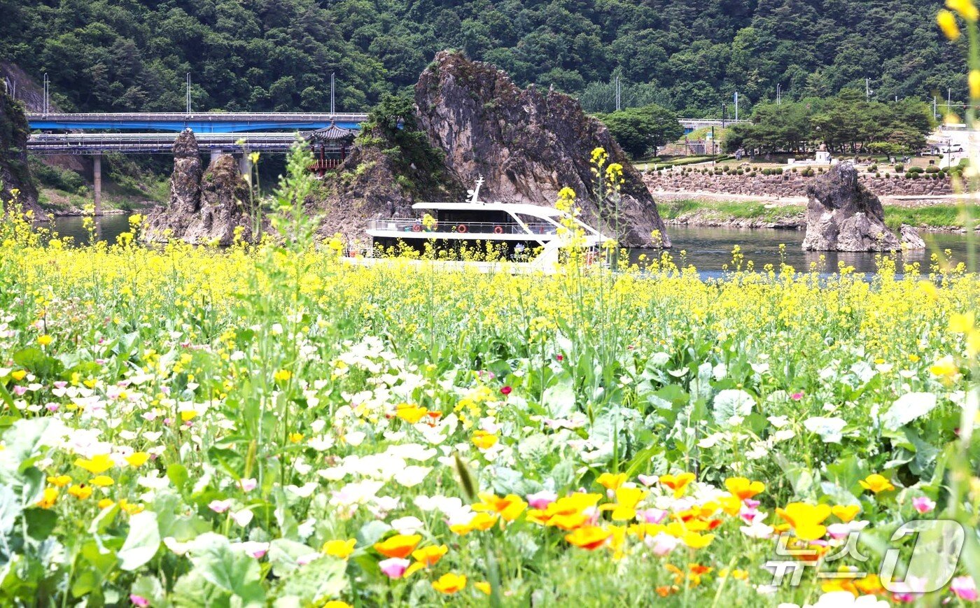 본문 이미지 -  충북 단양군 도담삼봉의 봄꽃과 유람선.(단양군 제공. 재판매 및 DB 금지)