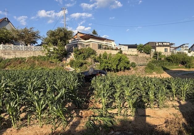 제천 도로서 승용차 난간 뚫고 추락…2명 중상, 3명 부상