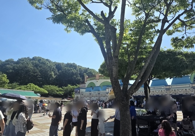 "늑구보러 가요"…오월드 재개장 첫 주말 200여명 '오픈런'