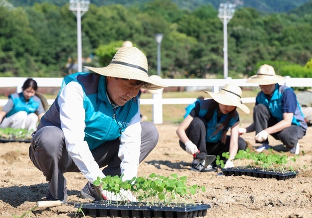 한국마사회, 탄소저감 식물 식재 캠페인…제주는 반려견 입양 행사