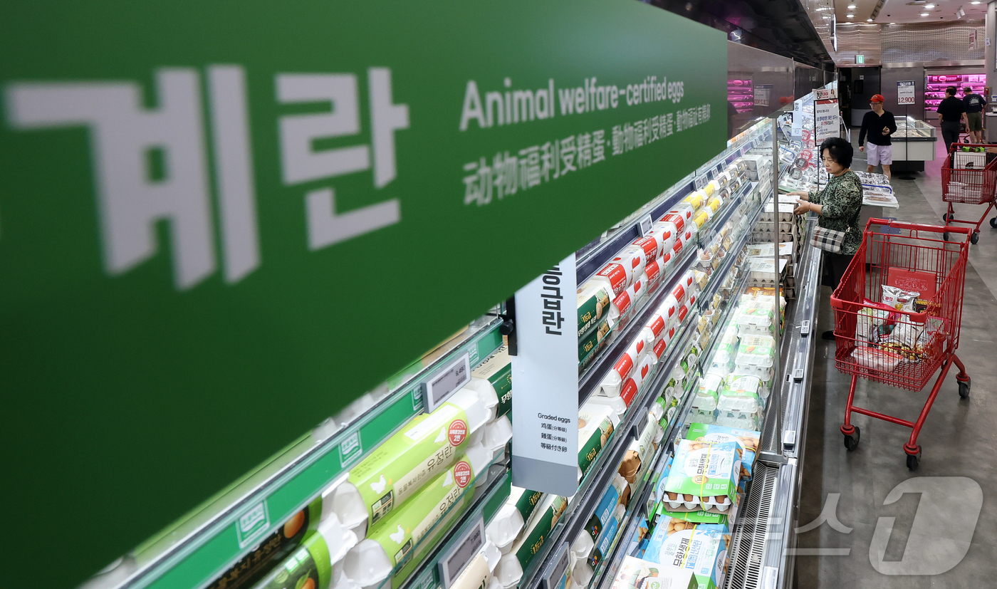 (서울=뉴스1) 김진환 기자 = 계란 가격이 고병원성 조류인플루엔자(AI) 여파로 상승해 특란 30구 평균 가격이 7440원까지 올랐으며, 일부 지역은 8000원에 육박하는 등 소 …