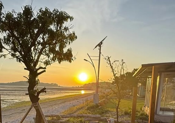 '현빈♥' 손예진, 네 살 아들과 함께…행복 가득찬 미소 [N샷]