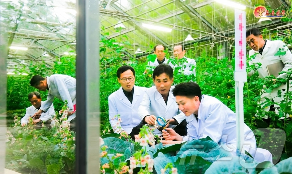 (평양 노동신문=뉴스1) = 북한 노동당 기관지 노동신문은 8일 원산농업대학에서 새 품종의 농작물을 육성하기 위한 연구사업을 진행 중이라고 전했다. [국내에서만 사용가능. 재배포 …