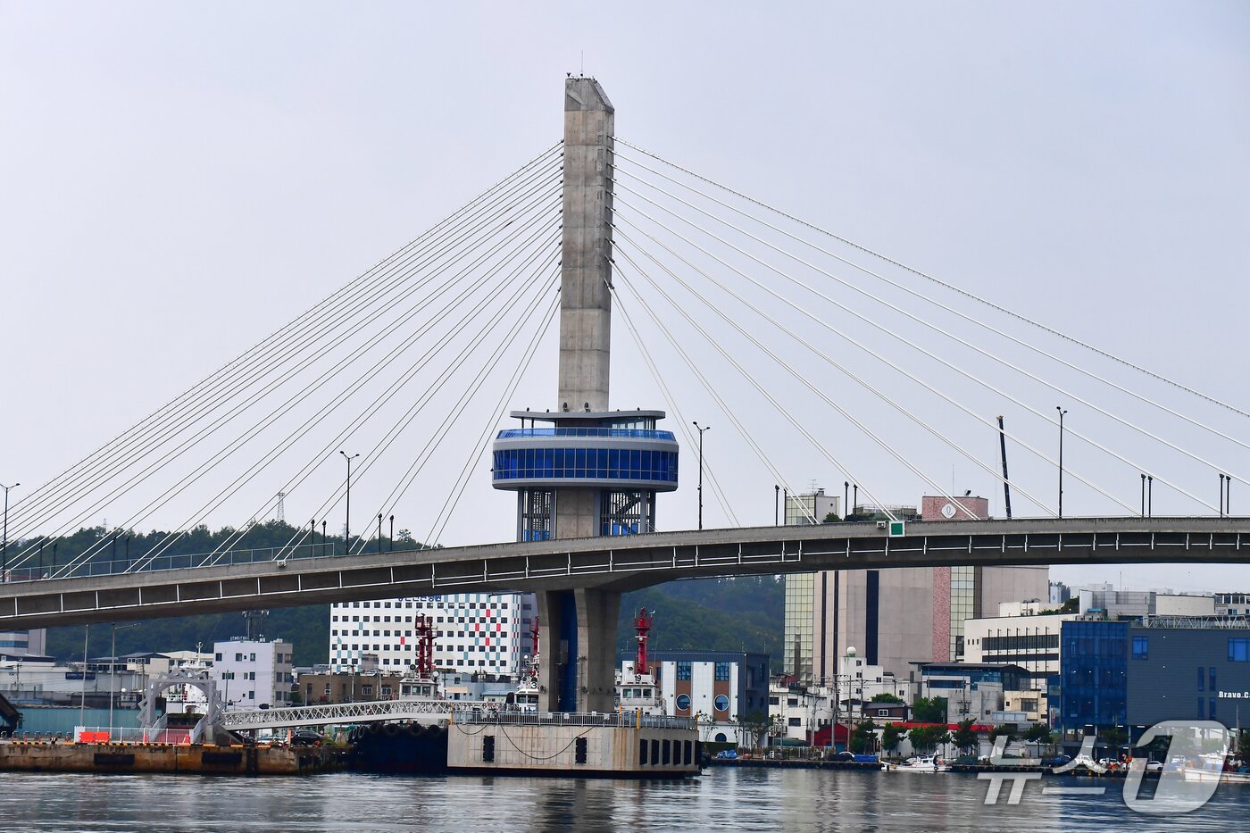 본문 이미지 - 경북 포항시 남구 송도와 북구 항구동을 연결하는 해오름대교 모습.2026.6.8/뉴스1 최창호 기자  