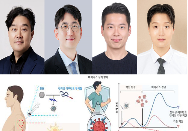 포스텍·인천대 연구팀, 한번 접종으로 장기 면역 효과 백신 개발