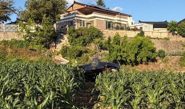 제천 승용차 추락사고 중상 70대 부부 숨져