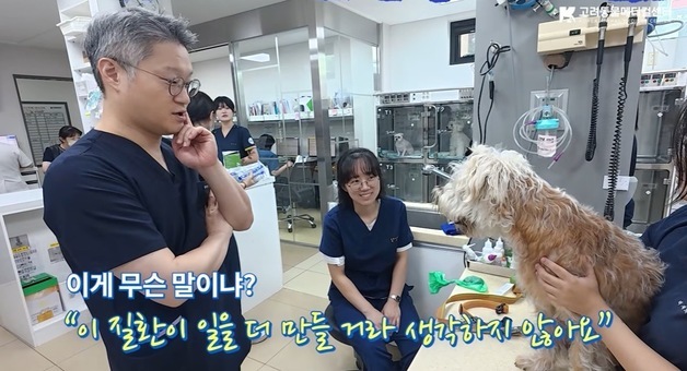 "어려운 질환 보면 벌 떼처럼 모여"…고려동물메디컬센터 38년의 힘