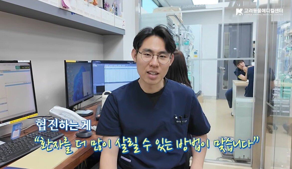 본문 이미지 - 이정민 고려동물메디컬센터 동물암센터장이 협진의 중요성을 얘기하고 있다(유튜브 갈무리). ⓒ 뉴스1