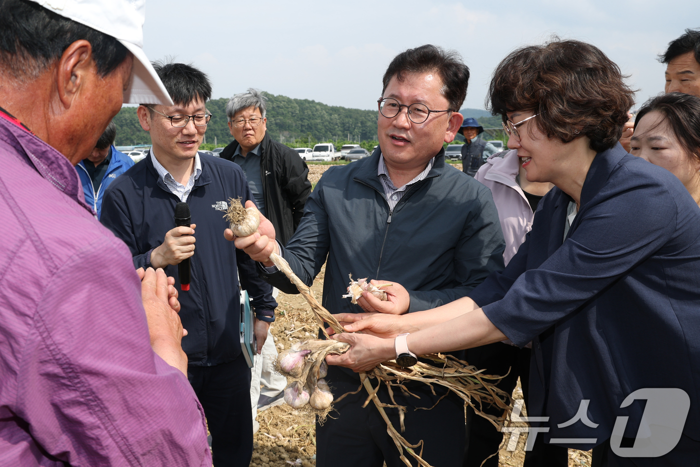 (서울=뉴스1) = 이승돈 농촌진흥청장이 8일 경북 영천시 마늘 수확 현장을 찾아 승용형 마늘 수집기 보급 시범사업 추진 현황을 점검하고, 수확 작업의 기계화 확대 방안과 현장 애 …