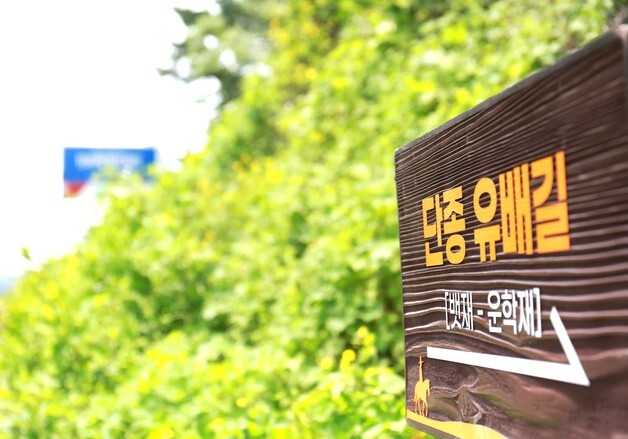 제천에 '단종 유배길' 생겼다…안내판 설치 등 복원사업 본격화