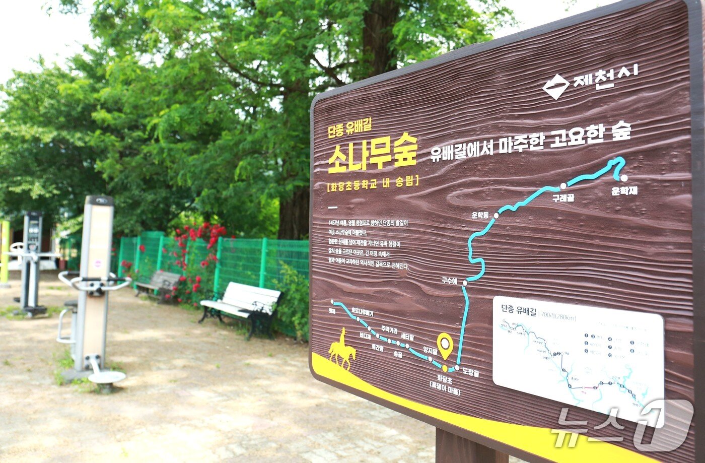 본문 이미지 - 제천시 백운면 화당초등학교 입구에 설치된 단종 유배길 종합안내판'. 2026.6.9/뉴스1   