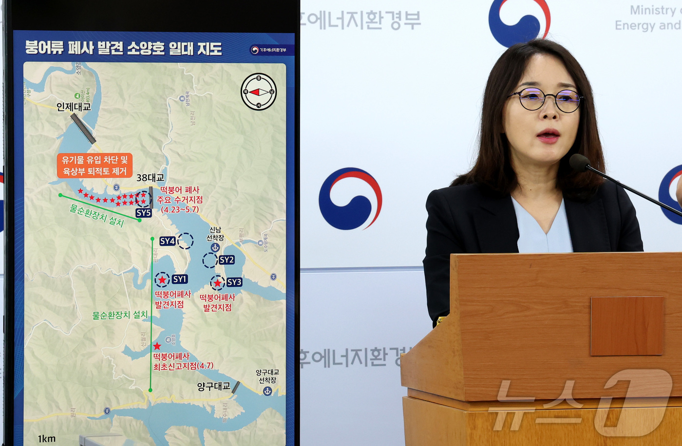 (세종=뉴스1) 김기남 기자 = 김은경 기후에너지환경부 물환경정책관이 9일 세종시 정부세종청사에서  지난 4월 강원도 소양호 상류에서 발생한 붕어류 폐사 원인 조사와 대책 내용을 …