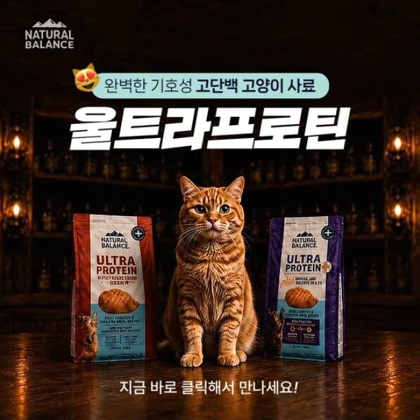 본문 이미지 - 내추럴발란스 인스타그램 갈무리 ⓒ 뉴스1