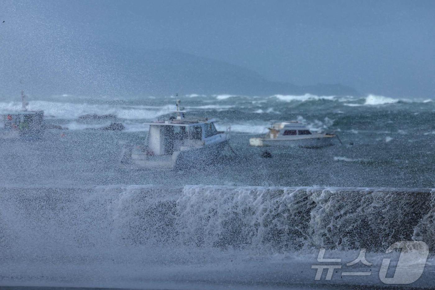 (웰링턴 AFP=뉴스1) 강민경 기자 = 뉴질랜드 웰링턴 교외 해안을 9일 폭풍우와 파도가 강타하고 있다. 11미터 높이의 파도가 도시 남쪽 해안을 덮치면서 수백 명의 주민들이 해 …