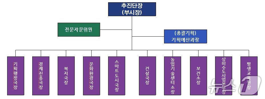본문 이미지 -  춘천시, 민선 9기 출범추진단 조직도.(춘천시 제공, 재판매 및 DB금지)