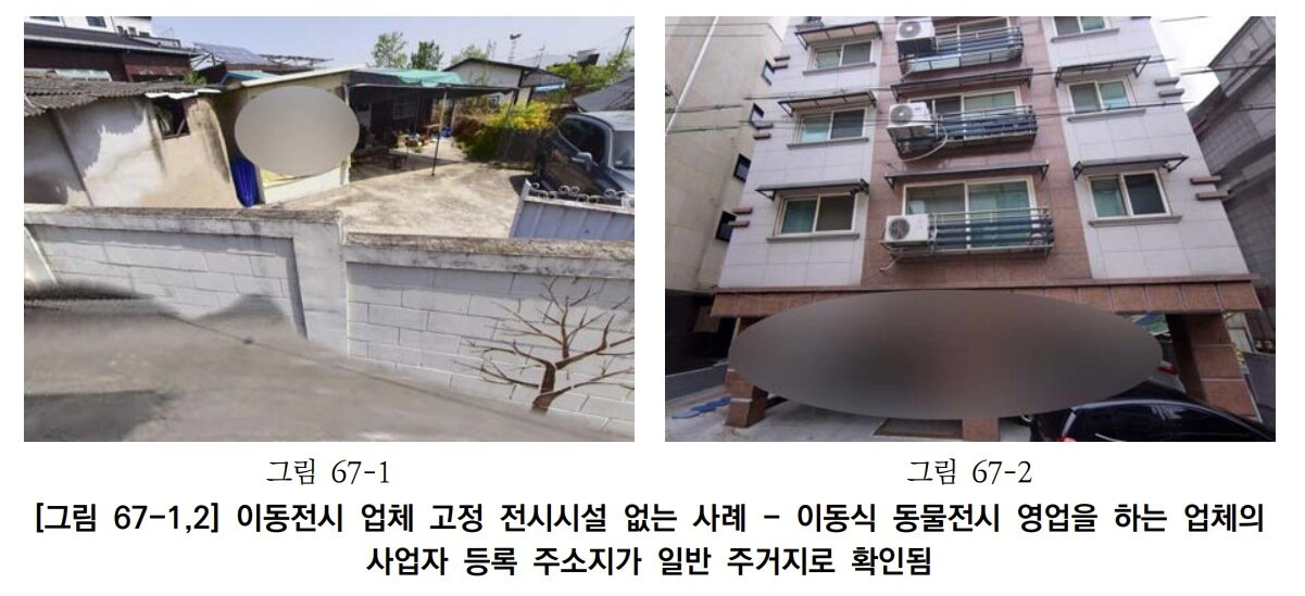 본문 이미지 - 어린이집·유치원에서 운영하는 이동동물원 중에는 사육 환경을 확인하기 어려운 업체도 있었다(어웨어 제공). ⓒ 뉴스1
