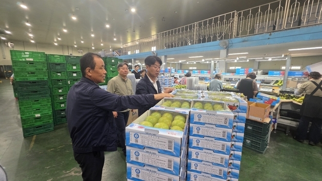 강원농협, 성출하 맞은 청정 춘천 농산물 유통 상황 점검