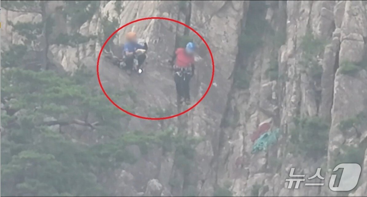 본문 이미지 - 암벽등반 중 추락한 50대를 구조 중인 설악산국립공원 구조대.(설악산국립공원사무소 제공, 재판매 및 DB 금지) 2026.7.1/뉴스1