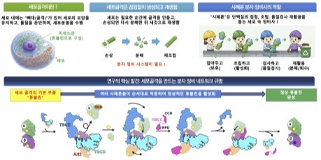 세포 유지·재생 원리 규명한 노성훈 교수, 7월 과기인상