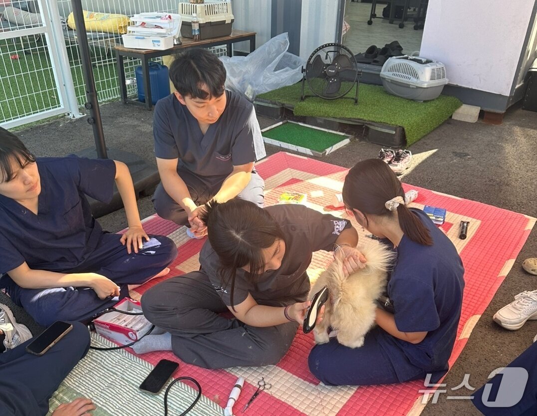 본문 이미지 - 보호소 봉사하는 전국수의과대학봉사동아리연합회 회원들(연합회 제공) ⓒ 뉴스1