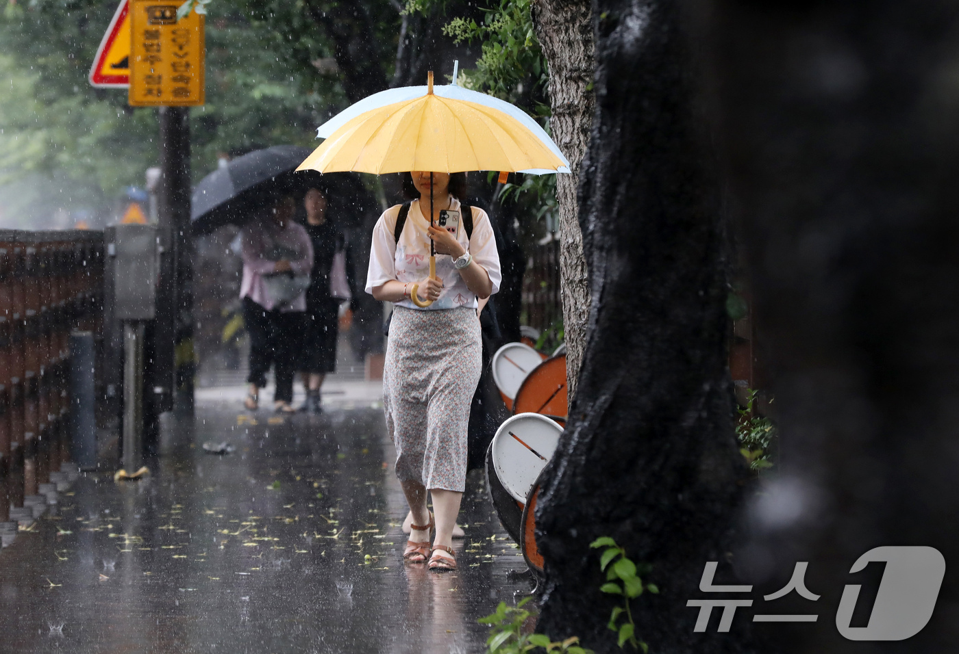 (부산=뉴스1) 윤일지 기자 = 7월 장마가 시작된 1일 부산 동래구 온천천 인근에서 우산을 쓴 시민들이 발걸음을 옮기고 있다.  2026.7.1/뉴스1