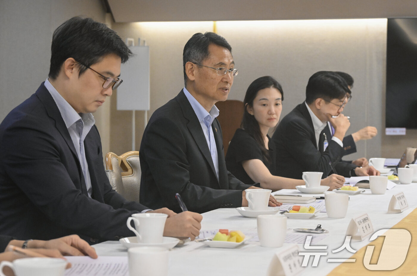 (서울=뉴스1) = 허장 재정경제부 차관이 1일 서울 종로구 서울청사에서 열린 '국제금융정책자문위원회 제2차 전체회의'를 주재하고 있다. (재정경제부 제공. 재판매 및 DB금지) …