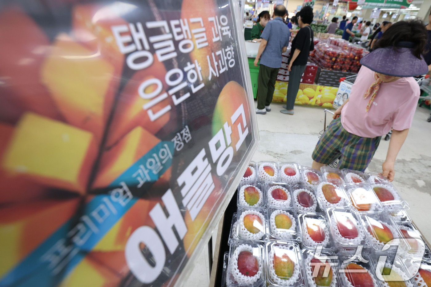 (서울=뉴스1) 이종수 기자 = 10일 서울 도봉구 창동 하나로마트에 망고가 진열돼 있다. 고유가와 고환율 기조가 이어지면서 올해 상반기 조기(16.9%), 쌀(15.1%), 인삼 …