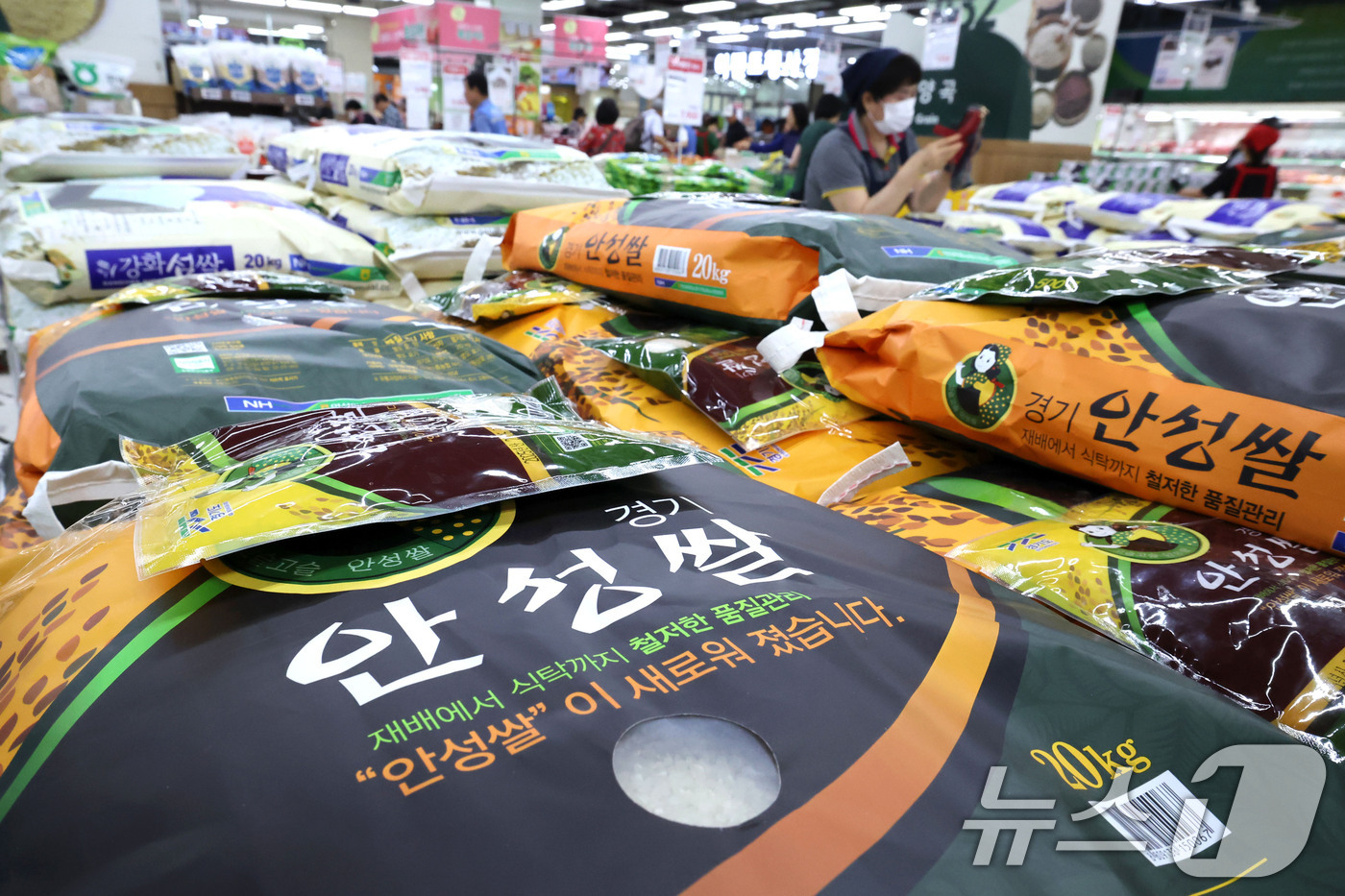 (서울=뉴스1) 이종수 기자 = 10일 서울 도봉구 창동 하나로마트에 쌀이 진열돼 있다. 고유가와 고환율 기조가 이어지면서 올해 상반기 조기(16.9%), 쌀(15.1%), 인삼( …