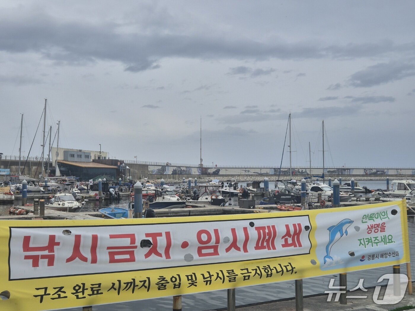 본문 이미지 - 10일 강원 강릉항 요트마리나에 남방큰돌고래 '안목이' 구조 완료 시까지 출입과 낚시를 금지하는 강릉시의 안내 현수막이 설치돼 있다. 2026.7.10/뉴스1 윤왕근 기자