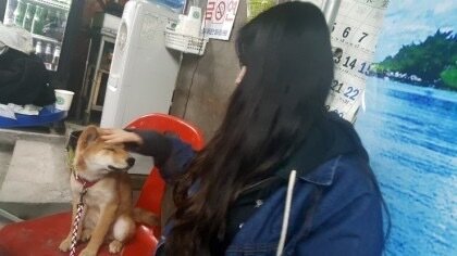 본문 이미지 - 이치와 처음 만난 날 찍은 사진(이지유 제공) ⓒ 뉴스1